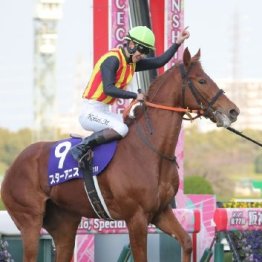【桜花賞】２歳女王スターアニスが歩む名牝の道