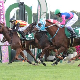 【桜花賞】ファンタジーＳ勝ちフェスティバルが狙うソダシ、リバティアイランド超えの記録