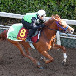 【桜花賞】調教マル得チェック②