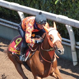 【桜花賞】調教マル得チェック②