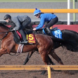 【桜花賞】調教マル得チェック①