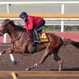 【桜花賞】調教マル得チェック①