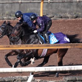 【桜花賞】調教マル得チェック①