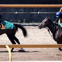 【桜花賞】調教マル得チェック①