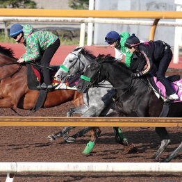 【桜花賞】調教マル得チェック①