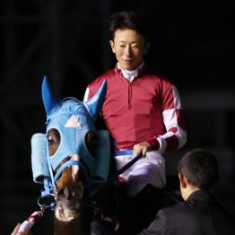 障害の名手で数々の金字塔を打ち立てた石神深一が引退を発表