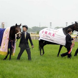 〈121〉オークス馬サンテミリオンを担当していた大西貴久調教助手（２）