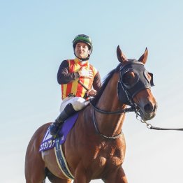 有力馬２頭でルメールの土日重賞Ｖはあるか