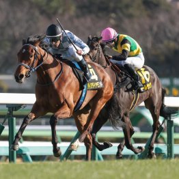 【桜花賞】スターアニス、ドリームコアは強いが　この３頭の記録も見逃せない