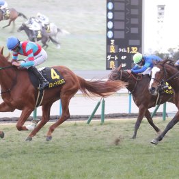 【桜花賞】スターアニス、ドリームコアは強いが　この３頭の記録も見逃せない