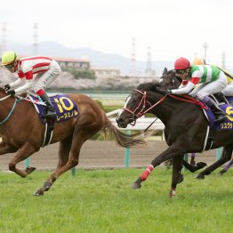【桜花賞】データ作戦　前走②着馬で好配当ゲットだ