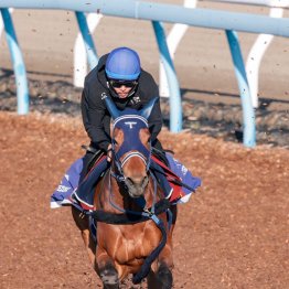 【桜花賞】アネモネＳを好内容勝ち　ディアダイヤモンド一発あり
