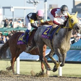 【飯島の土曜競馬コラム・福島４Ｒ】