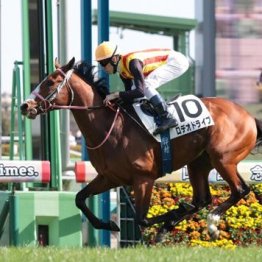 【武田の土曜競馬コラム・ニュージーランドＴ】