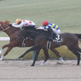 【福島本紙・市川の土曜福島11Ｒ】