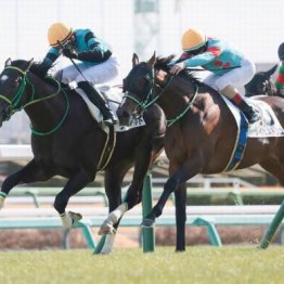 【東京本紙・外山の土曜中山９Ｒ】