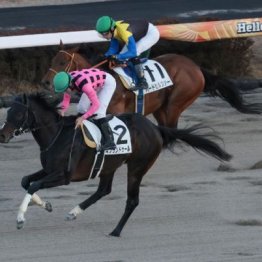 【東京本紙・外山の土曜中山10Ｒ】