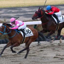 【東京本紙・外山の土曜中山12Ｒ】