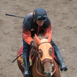 【桜花賞】出走全馬の特選情報