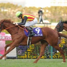 【市川の日曜競馬コラム・桜花賞】