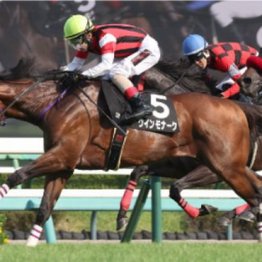 【飯島の日曜競馬コラム・中山１１Ｒ】