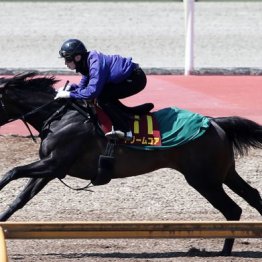 【新居の日曜競馬コラム・桜花賞】
