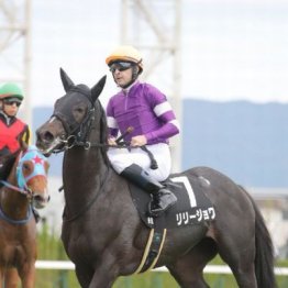 【武田の日曜競馬コラム・大阪杯】