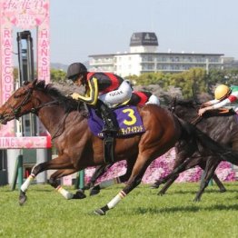 【注目重賞／データで買う・桜花賞】