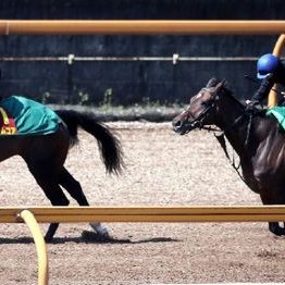 【注目重賞／追い切りで買う・桜花賞】