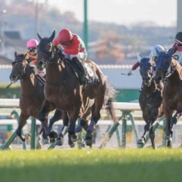 【福島本紙・市川の日曜福島11Ｒ】