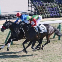 【東京本紙・外山の日曜中山10Ｒ】