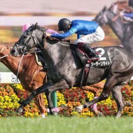 【東京本紙・外山の日曜中山11Ｒ】