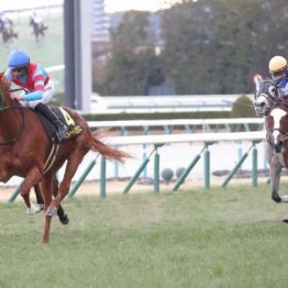【東京本紙・外山の桜花賞】