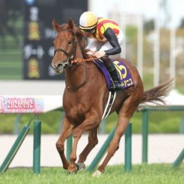 【桜花賞】2歳女王スターアニスが完勝でまず１冠