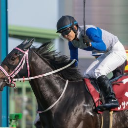 昨年同様、桜花賞で咲いたダイワメジャーの血