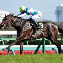 【春雷Ｓ】伏兵クラスペディアが押し切り