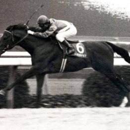 今はキレキレ競走が主流になっても、僕が史上最強馬だと思うのはやっぱり……