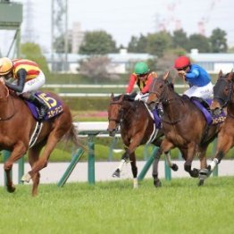 古馬３勝クラスと３歳戦を比較すると…