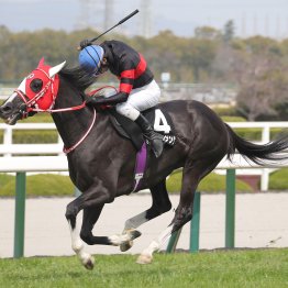 【中山グランドＪ】異例の中山競馬場４泊から偉業に挑む小野寺ホウオウプロサンゲ