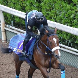 【皐月賞】調教マル得チェック②