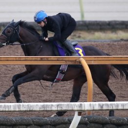 【皐月賞】調教マル得チェック②