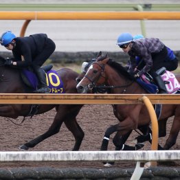 【皐月賞】調教マル得チェック②