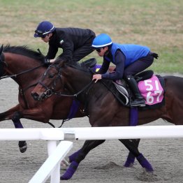 【皐月賞】調教マル得チェック②