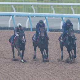 【皐月賞】調教マル得チェック①