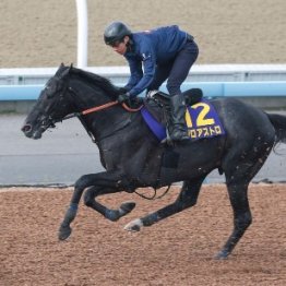 【皐月賞】調教マル得チェック①