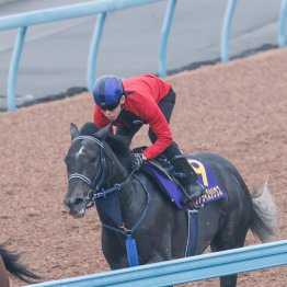 【皐月賞】調教マル得チェック①