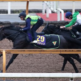 【皐月賞】ロブチェン巻き返しへ