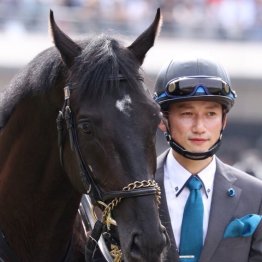 〈121〉オークス馬サンテミリオンを担当していた大西貴久調教助手（３）
