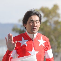 石神深に次いで西谷誠も引退へ　障害ジョッキーは２０００年の半分にまで減少