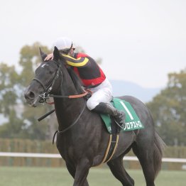 【皐月賞】今こそ速い馬が勝つ